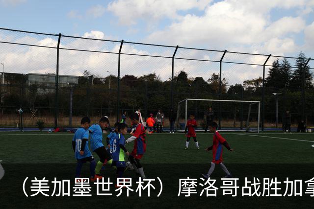 （美加墨世界杯）摩洛哥战胜加拿大 连续两届世界杯闯入八强